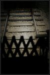IMG_2696