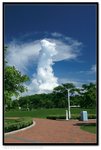 IMG_9550