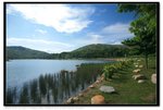IMG_9598