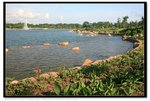IMG_9678