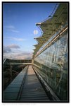 IMG_9742
