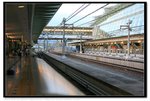IMG_9772