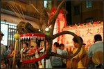 IMG_4779