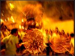 IMG_4852