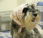 IMG_0051