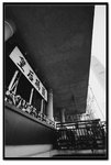 IMG_1929