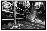 IMG_1948