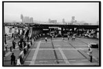 IMG_1979