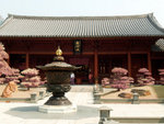 P1000956E