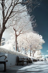 DSC_9230IR