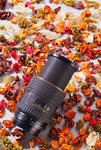 DSCF2933_1