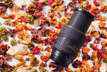 DSCF2941_1