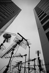 DSC_8075