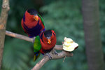 IMG_7503.CR2
