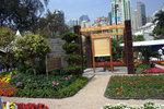 IMG_8223.CR2