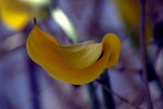 IMG_8358.CR2