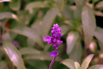 IMG_8512.CR2