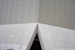 IMG_8677.CR2