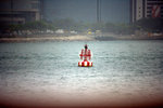 IMG_8685.CR2
