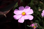 IMG_4628