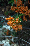 IMG_7133.CR2
