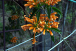 IMG_7135.CR2