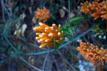 IMG_7139.CR2