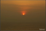_JL45288