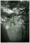 
_J201090