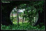 _J207856