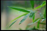 _J207863