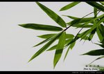 _J207866