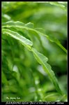 _J207870a
