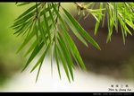 _J207872