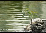 _J207875