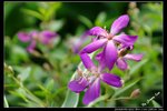 _J208697a