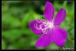 _J208703a