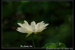 _J208772a