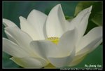 _J208862a