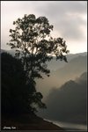 _J207501