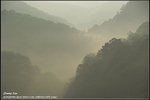 _J207532