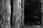 _J207572b