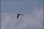 _J207618