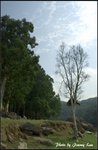 _J207700
