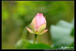 _J208717