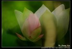 _J208724