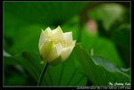 _J208725