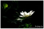 _J208746