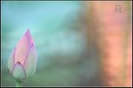 

IMG_3284a