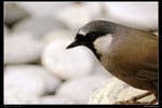 _J207322